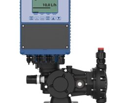 WhatsApp Image 2023-06-27 at 16.37.18